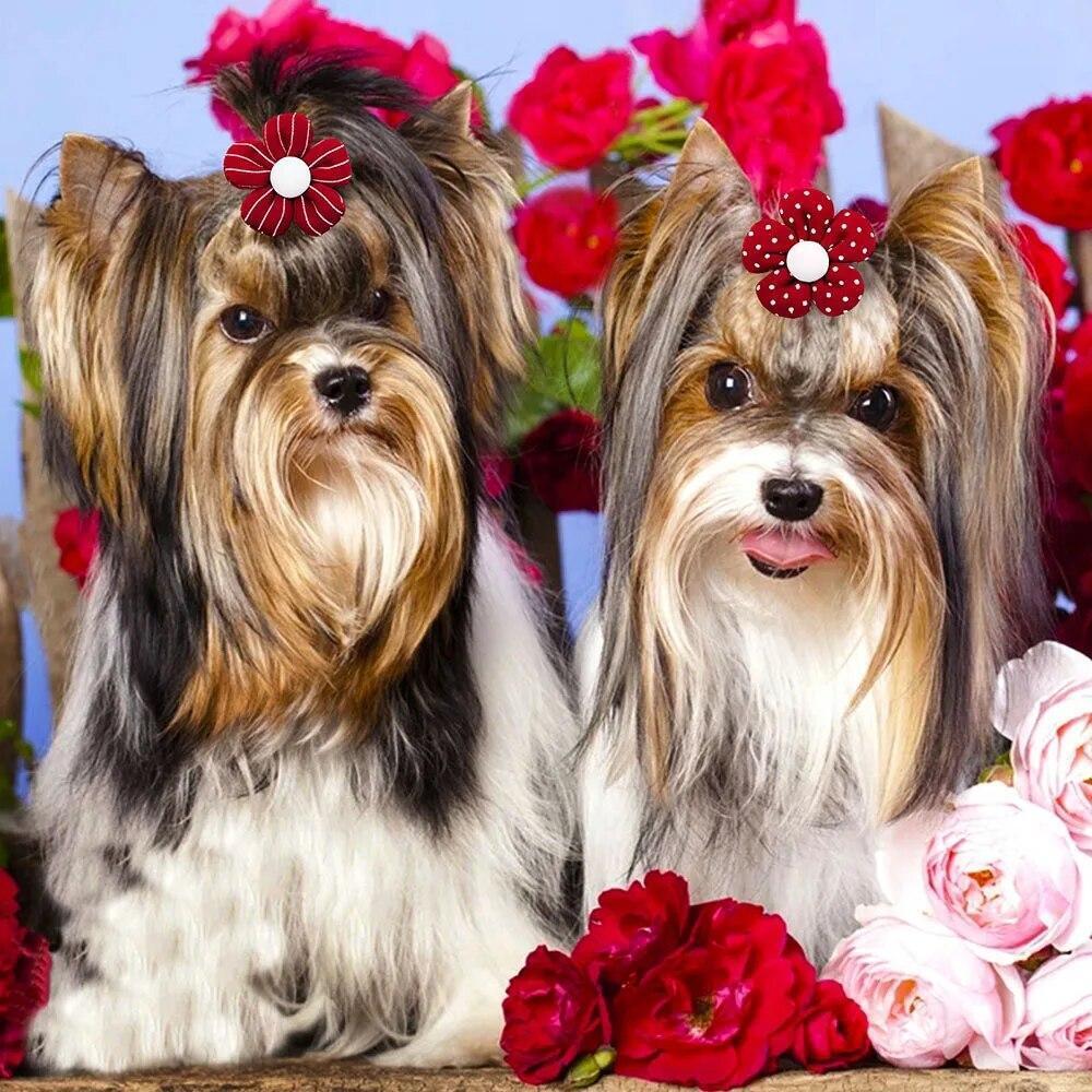50pcs Small Dog Hair Bows Puppy Rubber Band Flower Bowknot Grooming Accessories