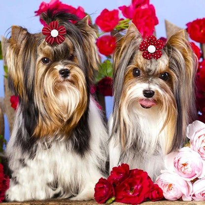 50pcs Small Dog Hair Bows Puppy Rubber Band Flower Bowknot Grooming Accessories