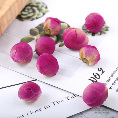 Bulk Peony Flower Bulbs Dried Peony Flower Bulbs Peony Petals Flower Tea 500g