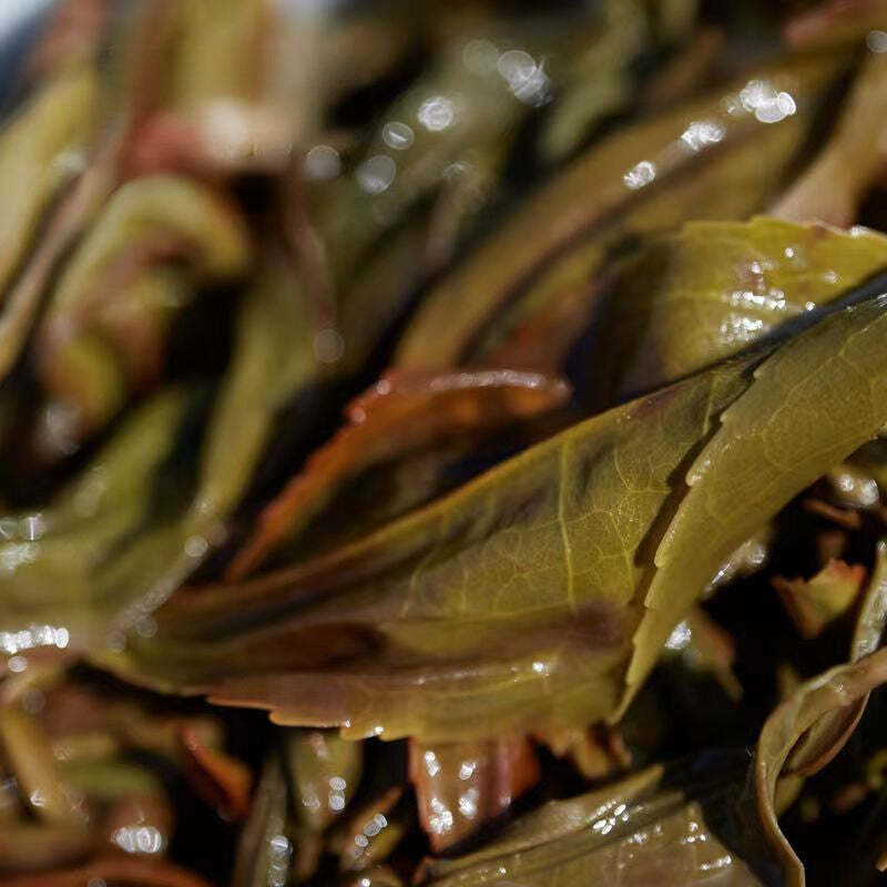 125g/250g Premium Feng Huang Can Dong Oolong Tea Top Phoenix Dancong Oolong Tea