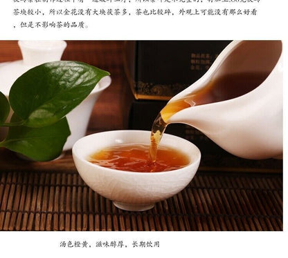 Baishaxi 1953 Fucha * Hunan Anhua Black Tea Dark Tea Fu Brick Golden Flower 338g