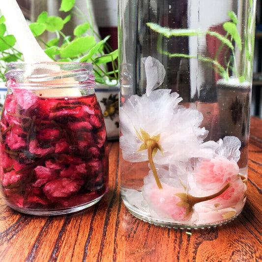 Japanese sugar Sakura Cha Pink Cherry Blossoms Traditional Preserved Flower Tea