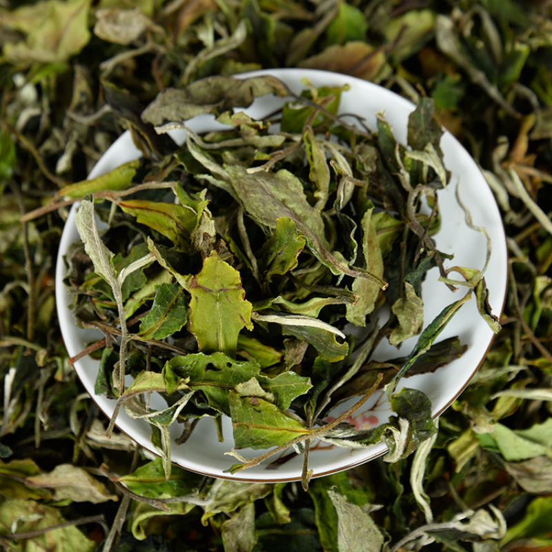 500g/1.1LB white tea early spring ancient Fuding white tea process white tea