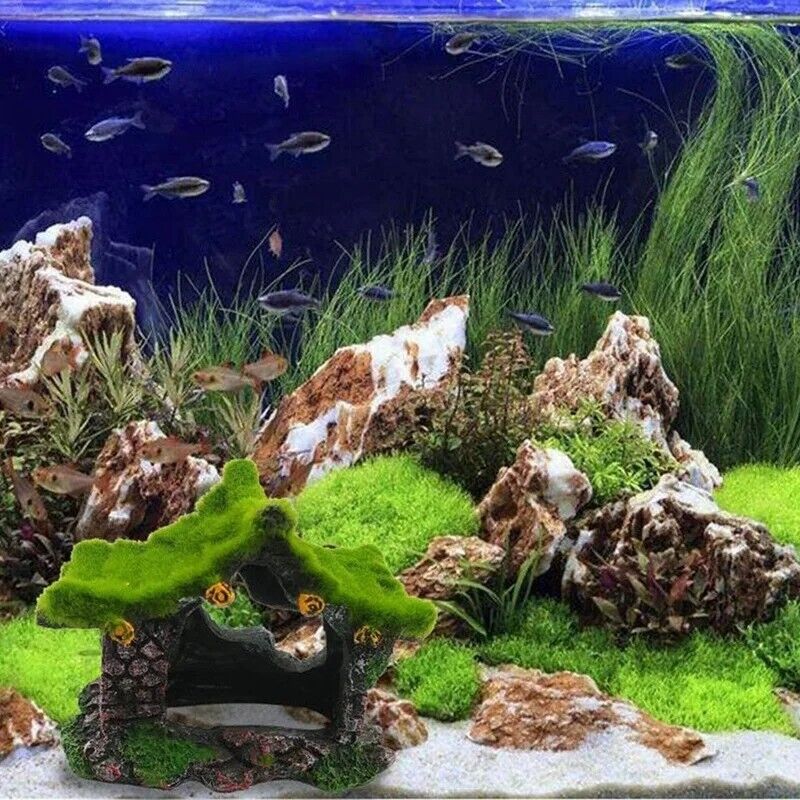 Aquarium Decorations Resin Hollow Hiding House Beta Fish Tank Driftwood 11x9x7cm