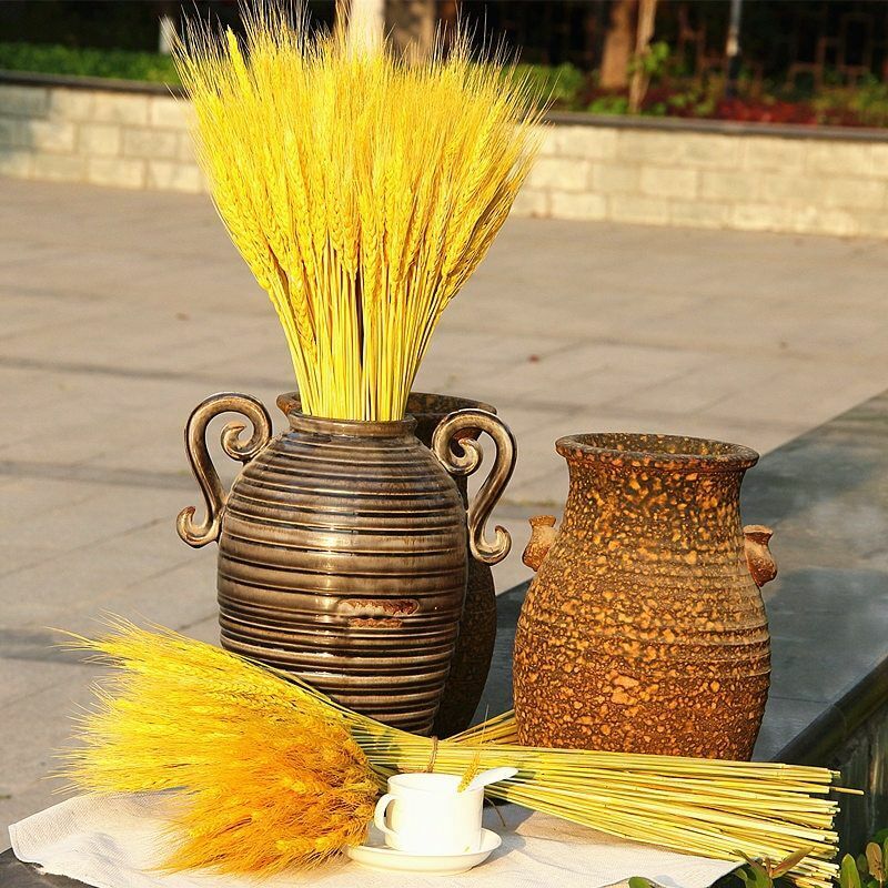 50Pcs/Lot Dried Wheat Ear Flowers Bouquet Decor Natural Pampas Rabbit Tail Grass