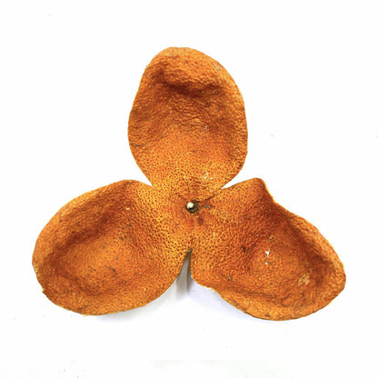 2021 XinHui Chen Pi MuZhou Producing Area Half Red Dried Tangerine Peel Tea 50g