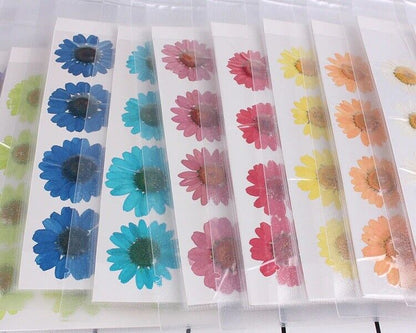 Dried Flowers Pressed Dry Daisy Epoxy Resin Jewelry Making Materials 120Pcs/Lot