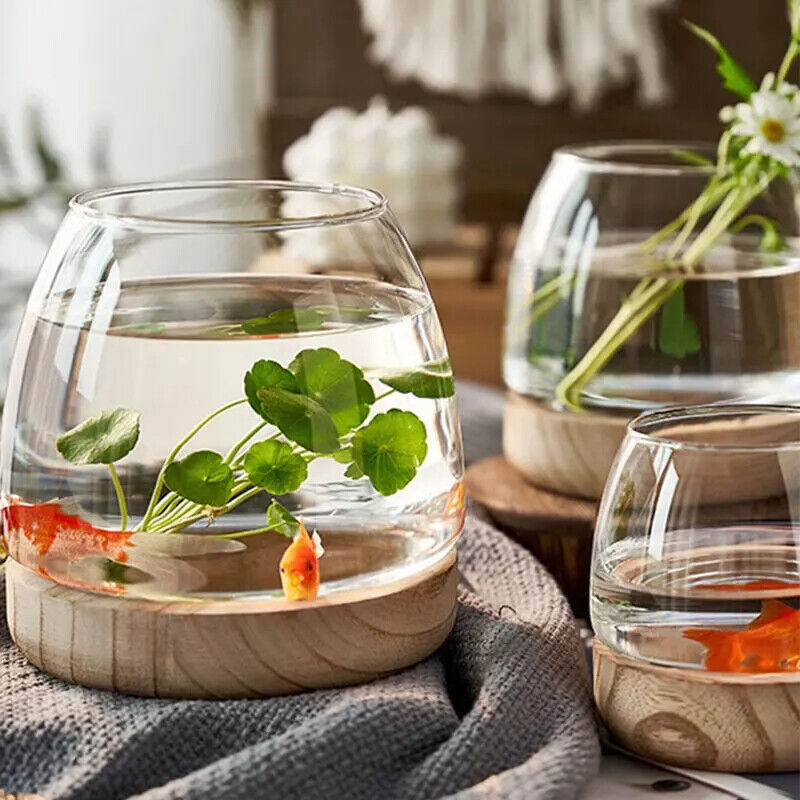 Fish Tanks Transparent Glass Wooden Tray Circular Office Small Goldfish Aquarium
