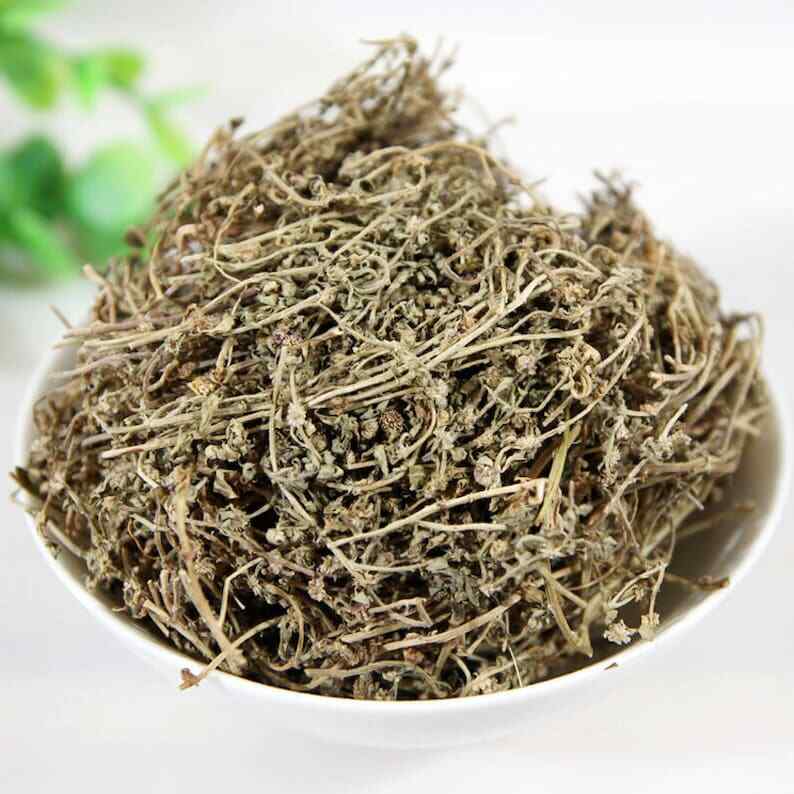 Premium Herbal Centipedae Small Centipeda Herb Great Quality