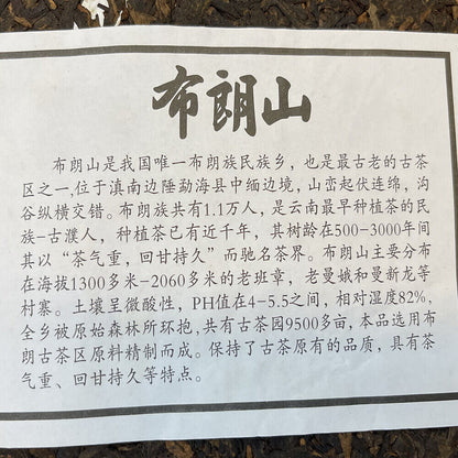 Pu'er, 2017, Brown Mountain, 357 grams, cooked