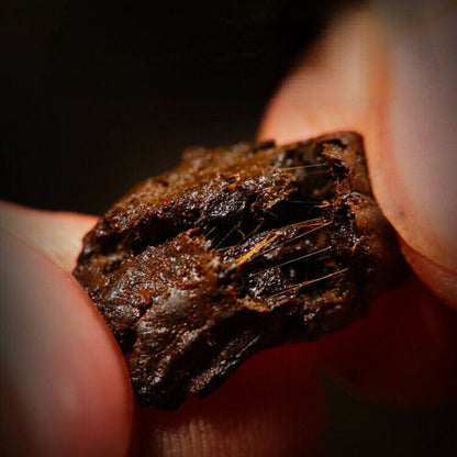 Chinese Pu'er Tea Sticky Ice Fragrance Pu-Erh Black Tea Boiled Puer Tea 250g-