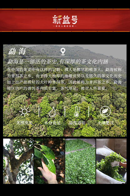 Chinese aged Pu'er tea新益号五年金砖1000g云南陈年普洱茶熟茶砖黑茶叶熟普Yunnan natural healthy herb tea