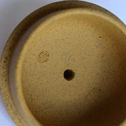 Authentic Chinese Zisha Teapot 8oz Yixing Clay Yellow Sesame Mud Tea Pot Pumpkin
