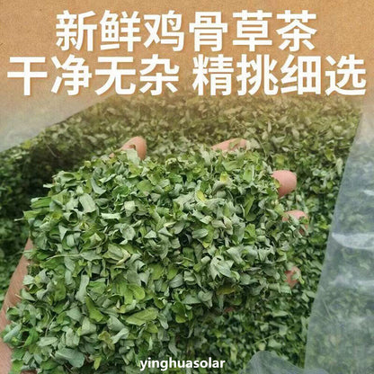 广西鸡骨草茶 Herbal Tea Protect Liver Health Function Tea 250g/500g 保肝降酶抑制肝损伤退黄疸