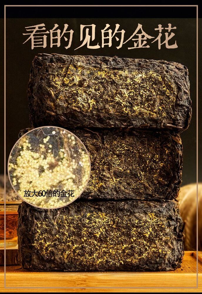 500g Shanxi Specialties Guan Tea Fu Tea 陕西伏茶西安特产泾阳金花茯茶 500g