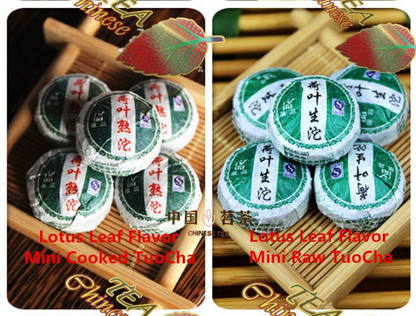 10 Different Flavors Puerh Tuo Tea cha & Ripe Puer Premium Organic Mini Ball Tea