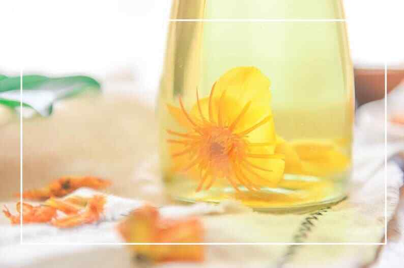 Chinese Globeflower Flower Flos Trollii Trollflower Pure Natural Healthy Tea