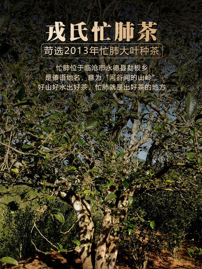 MENGKU Mangfei Ancient Tree Raw Pu'er Muyechun Puer Tea Pu-erh Tea 2013 500g Raw