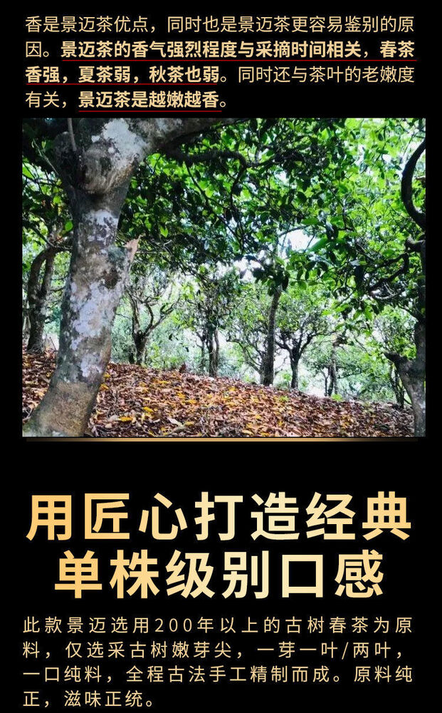 Pu'er, Pu'er, Pu'er, 2020Y, 357G, RAW