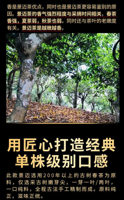 Pu'er, Pu'er, Pu'er, 2020Y, 357G, RAW