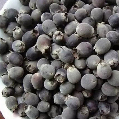 Dried Herbal Tea Dried Rhodomyrtus Tomentosa Fruits,-