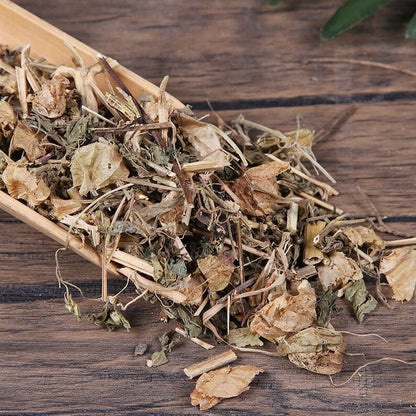 Organic Herbal Physalis Peruiana Herb of Cape-gooseberry Denɡlonɡcao Healthy Tea