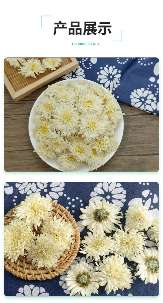 White Chrysanthemum Huangshan Chrysanthemum July Chrysanthemum Tribute 17.6oz