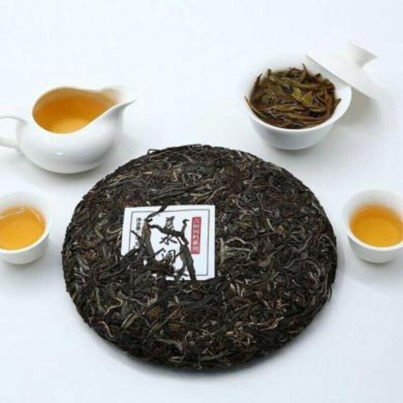 500g JIA JI TUO CHA Dayi Pu-erh Top-grade Puerh TAETEA Classic Cha Pu'er Tea