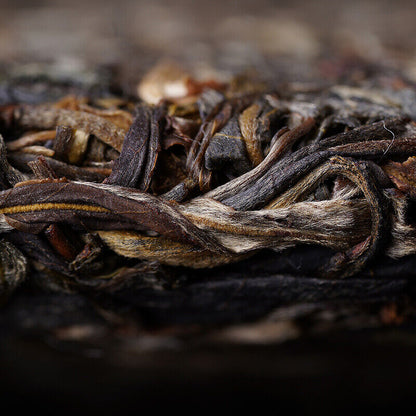 Knowing Village Mengku Ancient Tree 2022 Haiwan Puer Tea Raw Pu-erh Tea 500g