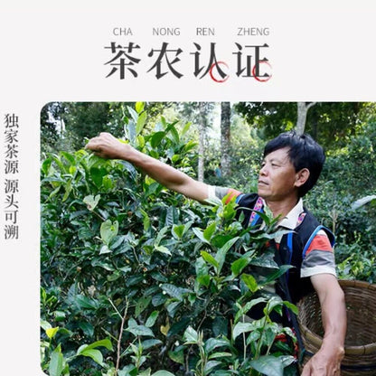 Pu-erh tea,2022,香竹箐 Xiangzhuqing,357g,Raw