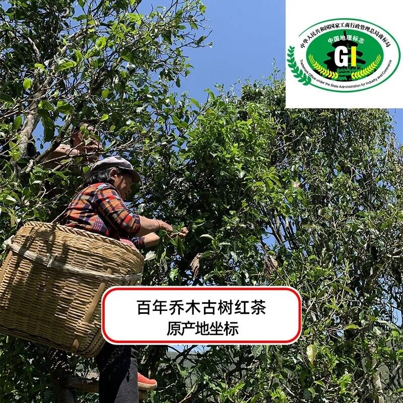500gNatural Ancient Tree Loose Black Tea High Quality Daian Black Tea Health Tea