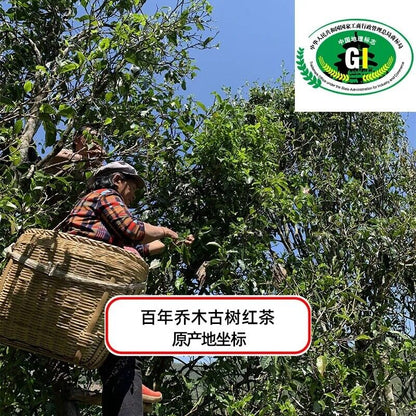 500gNatural Ancient Tree Loose Black Tea High Quality Daian Black Tea Health Tea