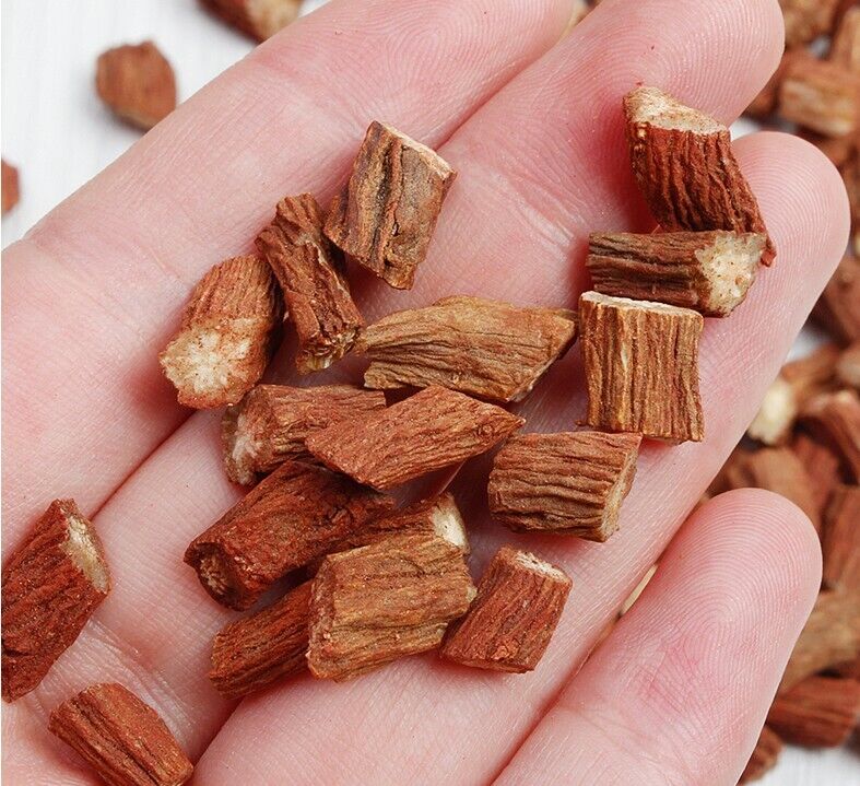 Chinese medicine herbal Red Sage Dan Shen Root (Salvia miltiorrhiza)