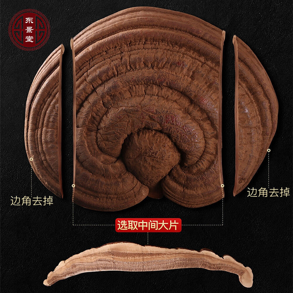 Chinese Herbal Top Grade Reishi Ganoderma Lucidum Big Slice Wild Lingzhi 野生灵芝