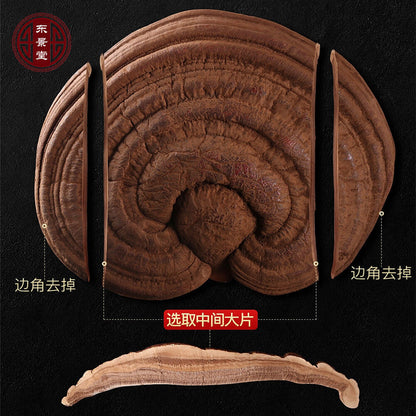 Chinese Herbal Top Grade Reishi Ganoderma Lucidum Big Slice Wild Lingzhi 野生灵芝