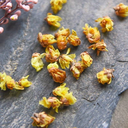 Organic Chimonanthus Fragrans Calycanthus Praecox Flower Makes A Healthy Tea