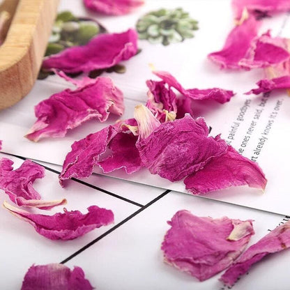 Organic High Quality Peony Petals Flower Tea Paeonia Peony petals
