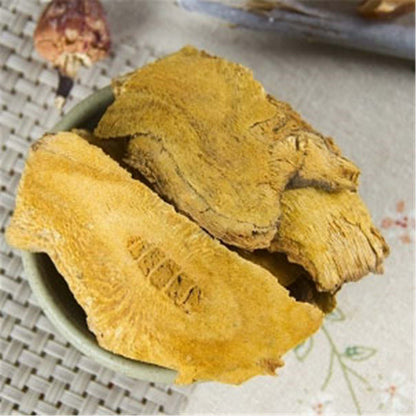 100%Natural Knotweed Fallopia Japonica Polygoni Cuspidati HuZhang Chinese Herbal