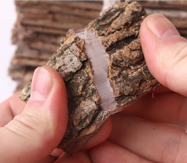 SiChuan Du Zhong Tu-chung Eucommia Ulmoides Oliver Bark Chinese Herbal Tea new
