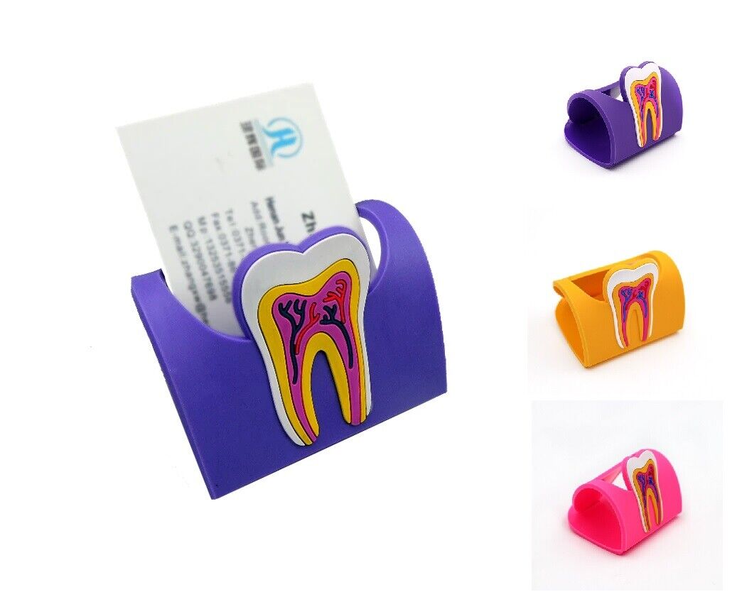 Dental Clinic Tooth Card Display Stands Colorful Rubber Teeth Molar Holder Decor