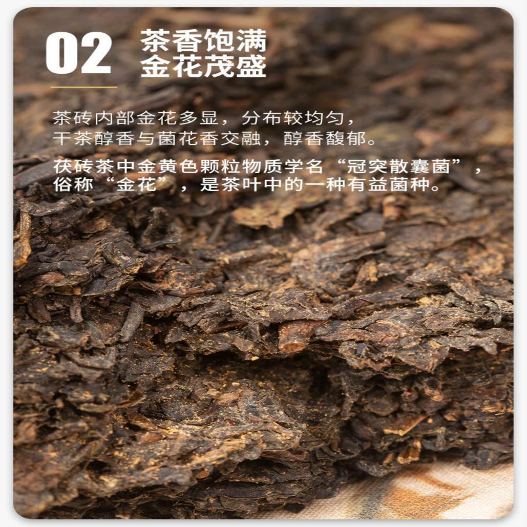 CHINATEA Hunan Anhua Jin Hua Special Fu Brick Tea Fu Zhuan Dark Tea 380g