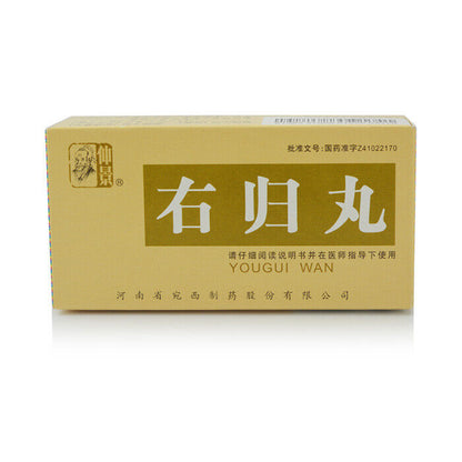 youguiwan 仲景 右归丸 45g*1瓶/盒