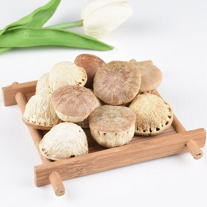 Insect free Wind Fruit Bulk Turtle Head