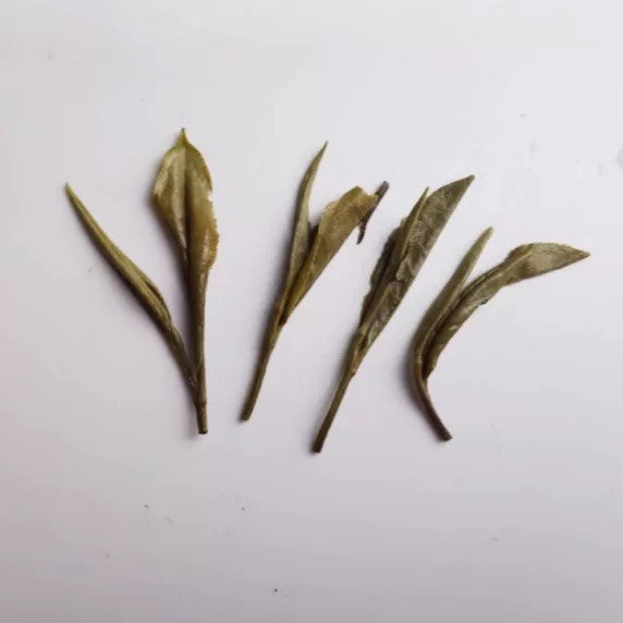 1000g prime Fuding White Tea,First Spring Wild Shou Mei Chinese White Tea