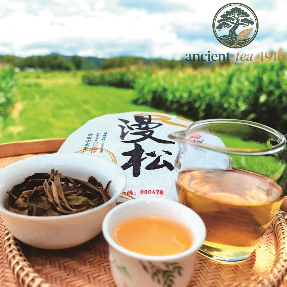 357g 2021 Mansong Yiwu Ancient Tree Pu'er Raw Tea Cake