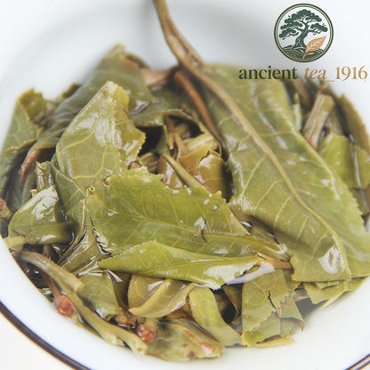 357g 2021 Spring Pu'er Lincang Iceland Ancient Tree Raw Tea Cake Pu'er Tea