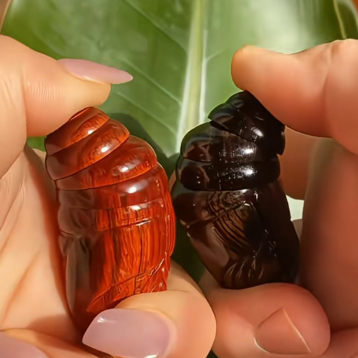 Red Sandalwood Silkworm Pupa Hand Carved Movable Head Worry Stone Fidget Toy