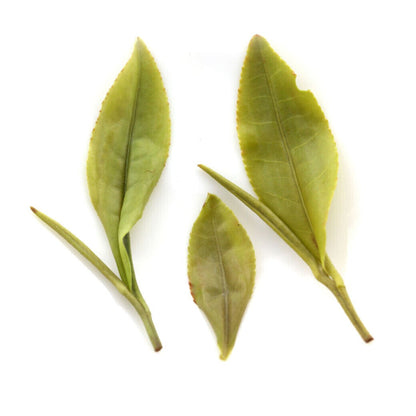 250g Organic Premium Huangshan Maofeng Yellow Mount. Chinese GREEN TEA 2025 year