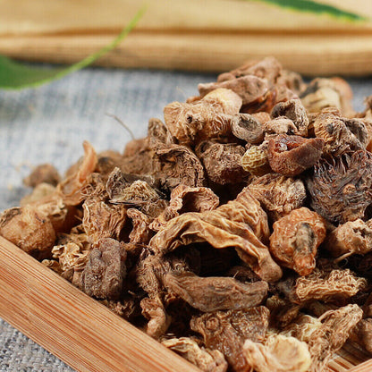 50g Chinese Healthy Herbs Tea Health Care Original Shancigu Maocigu 山慈菇