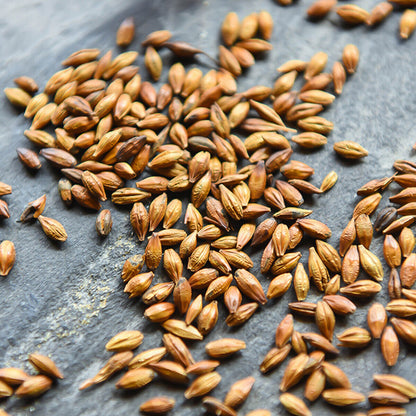 Barley Tea Herbal Tea Original Taste Cooking Bulk To Lose Weight Be Healthy